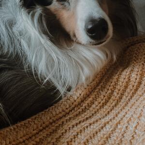 Gallery Photo 51