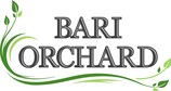 Vendor Logo