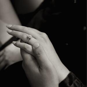 Gallery Photo 21