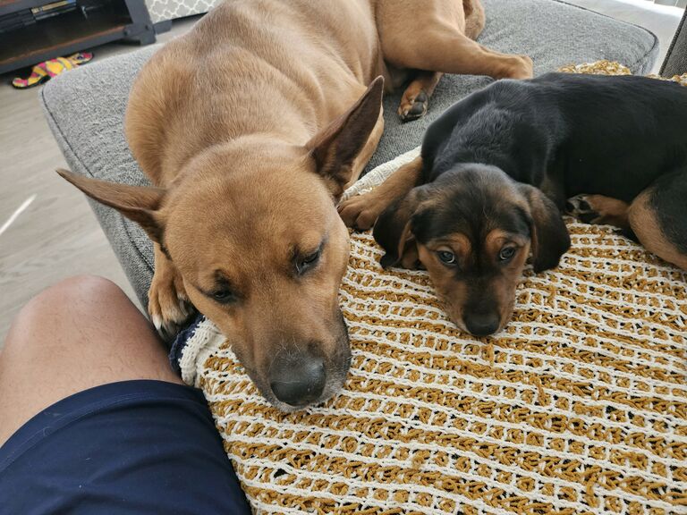 Father and Daughter.