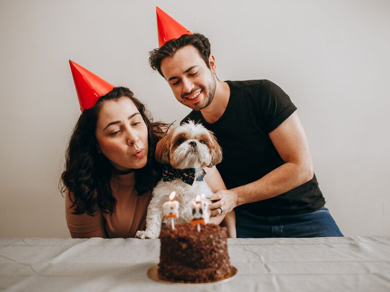 Young adult couple celebrating pet dogs birthday at home with cake