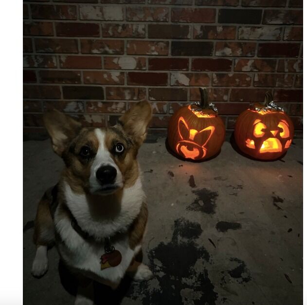 Halloween 2022