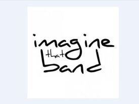 Imagine That band - Cover Band - Decatur, IL - Hero Gallery 1