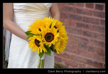 White House Wedding Flowers Florists The Knot