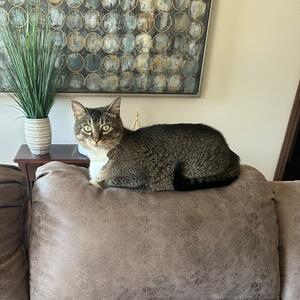 Gallery Photo 47