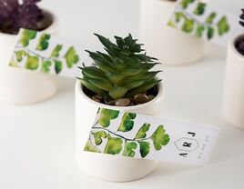 Set of succulents in white planters and personalized monogram tag