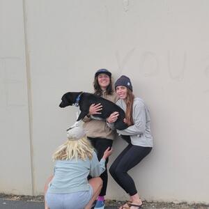 Gallery Photo 20