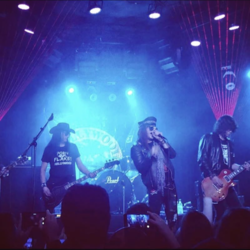 The Hollywood Roses, profile image