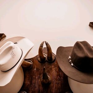 Gallery Photo 7