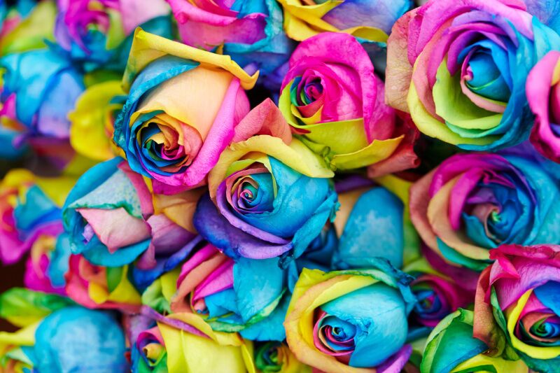 Color party ideas: fresh flowers