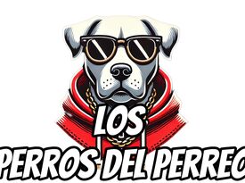 Los Perros del Perreo - Latin Band - Chino Hills, CA - Hero Gallery 4