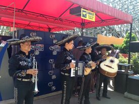 Mariachi Artistico - Mariachi Band - New York City, NY - Hero Gallery 2