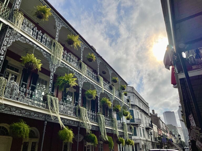 New Orleans Travel Guide, News and Information