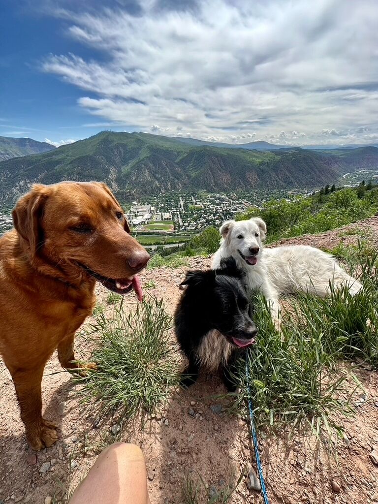 Our fur babies