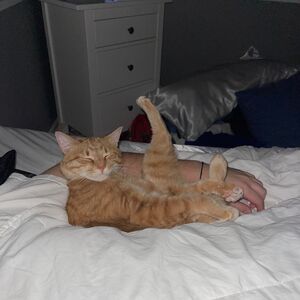 Gallery Photo 39