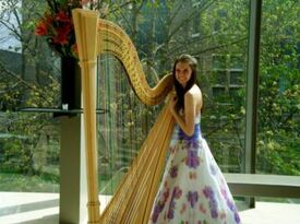 Natalie Hoffmann, Harpist - Harpist - Pickerington, OH - Hero Gallery 4