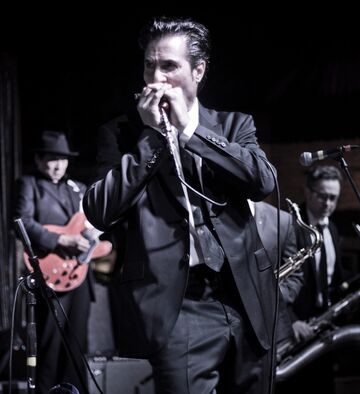 The Special 20s - Blues Band - Chicago, IL - Hero Main
