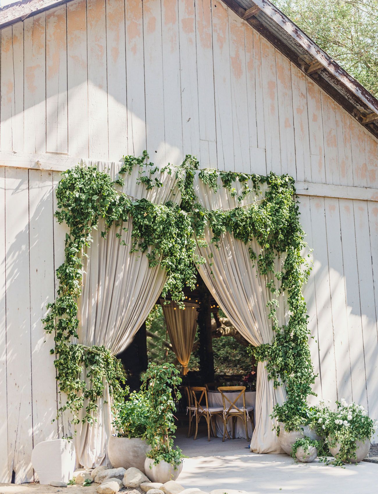 gainesville florist