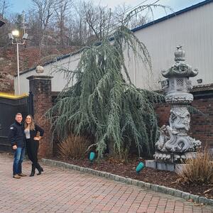 Gallery Photo 31
