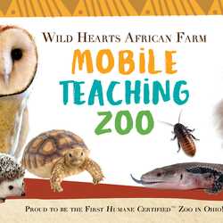 Wild Hearts African Farm, profile image