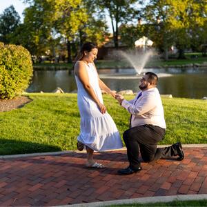 Gallery Photo 38