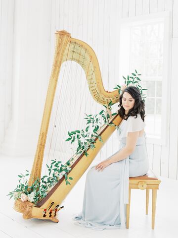 Sonja Westberg, harpist - Harpist - Manchester, MO - Hero Main