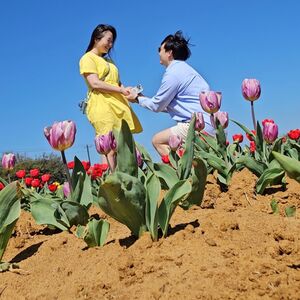 Gallery Photo 26