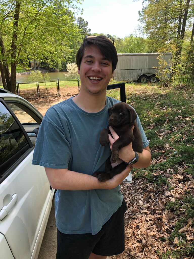 Becoming puppy parents to Remy
