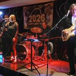 the Groovadelix - cover band, profile image