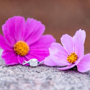 Gallery Photo 29