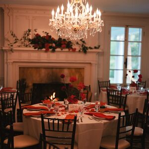 Gallery Photo 47