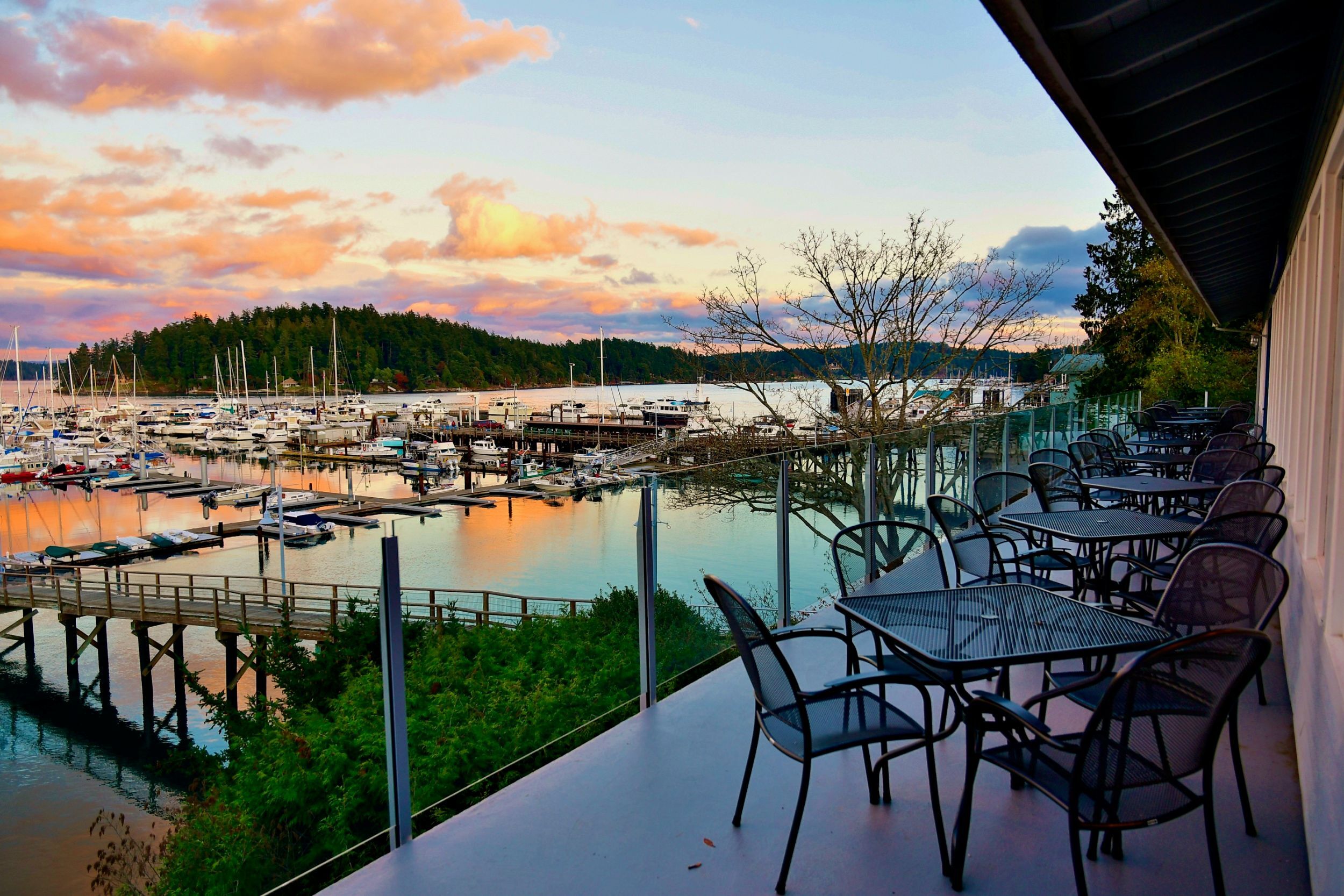 san juan yacht club friday harbor