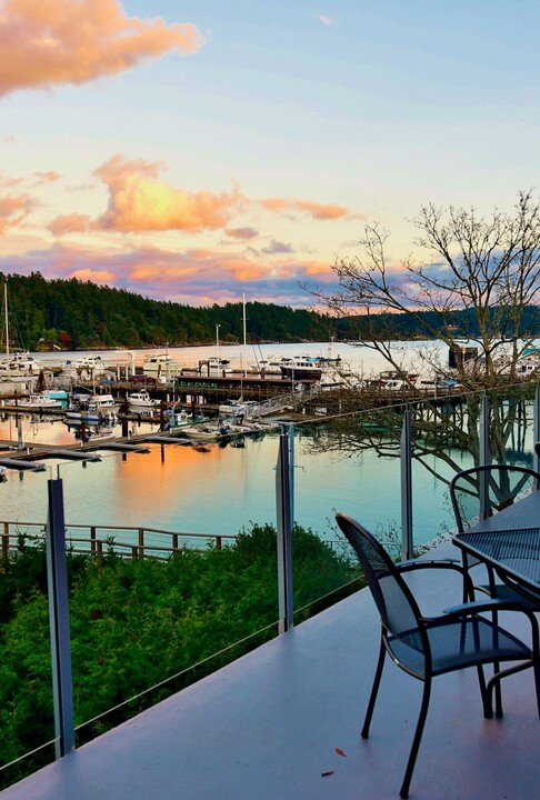 san juan yacht club friday harbor