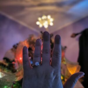 Gallery Photo 4