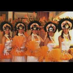 Aloha O Hawaii Polynesian Dance Group, profile image