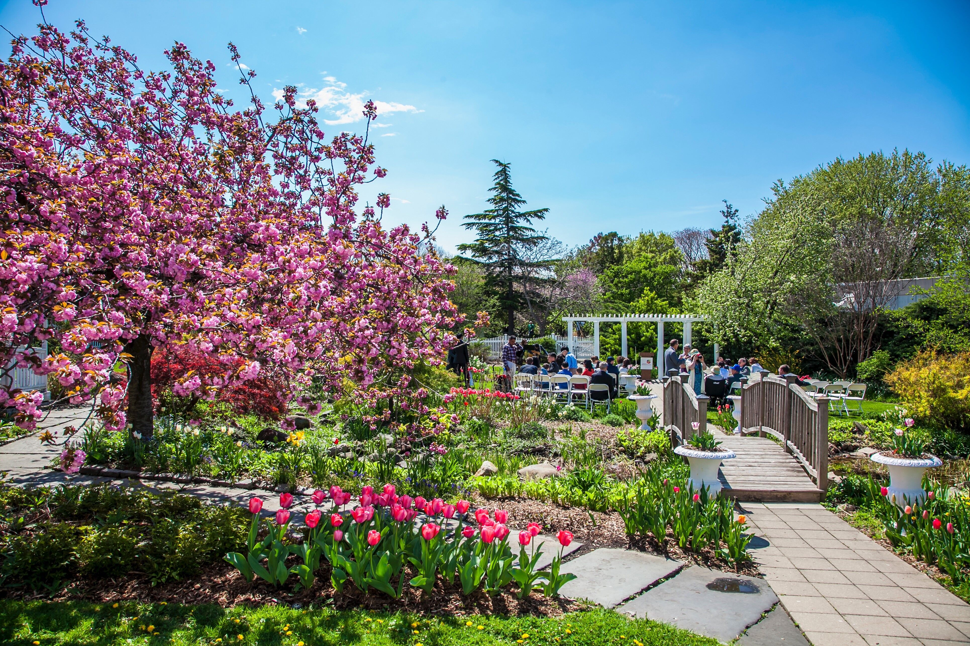 Queens Botanical Garden Reception Venues Flushing Ny