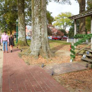 Gallery Photo 8