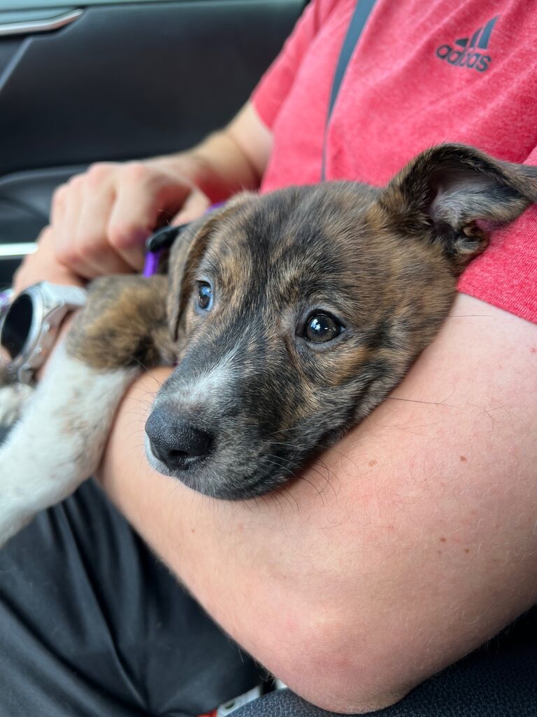 She was and still is the cutest little fur baby.