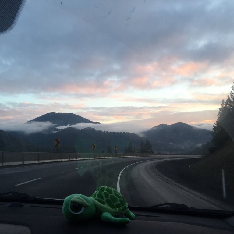We went on our first roadtrip from Seattle to LA 