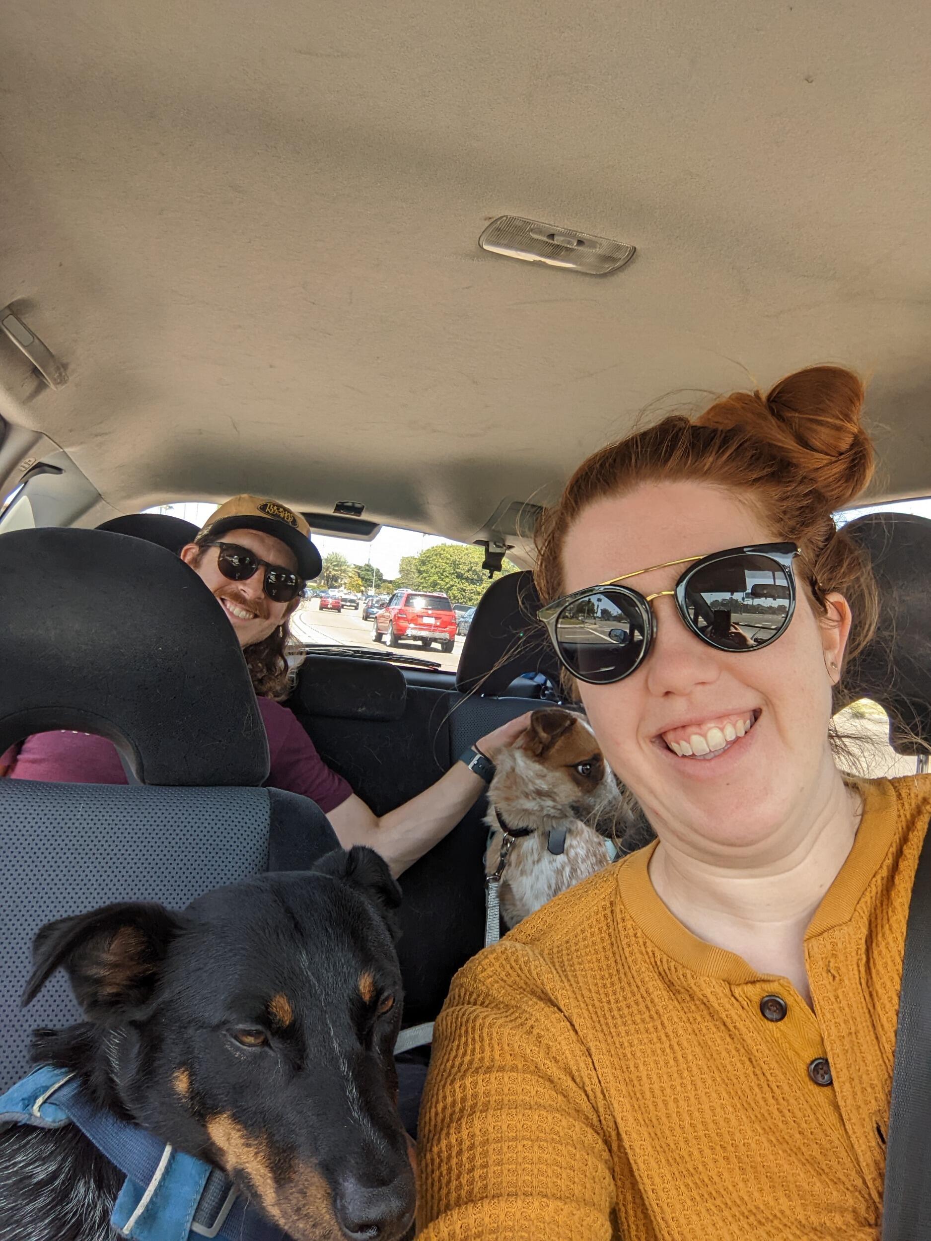 Adopted Corduroy a red heeler! Bringing our family size to 2 pups and 2 humans. Cobalt has a younger brother!