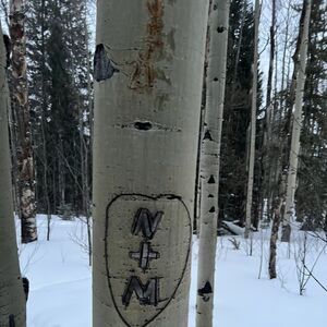 Gallery Photo 18