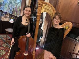 Alice Rose Statham, Harp Virtuoso - Harpist - Butler, PA - Hero Gallery 3