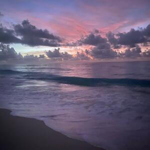 Gallery Photo 33