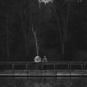 Gallery Photo 108