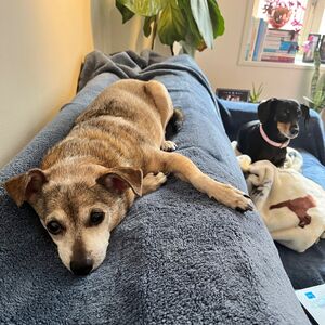 Gallery Photo 33