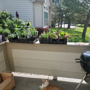 Gallery Photo 8