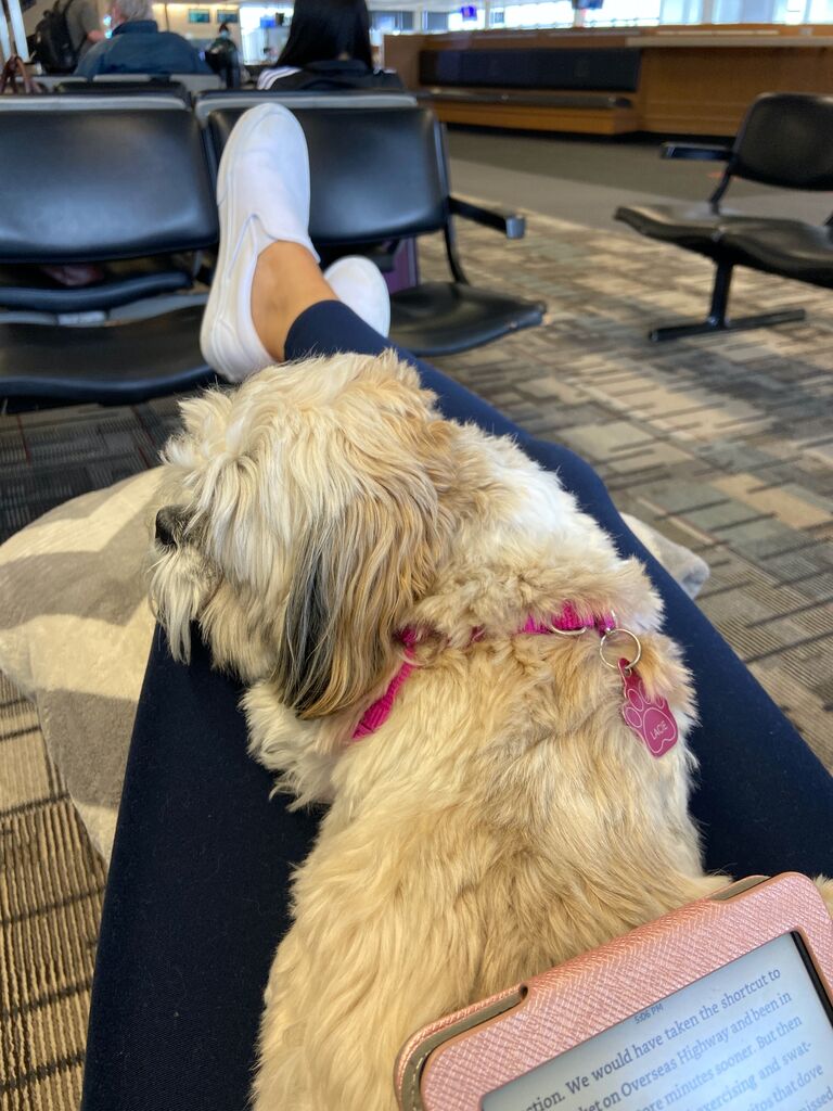 Kellie & Lacie off to visit Jake for the first time in Austin!
