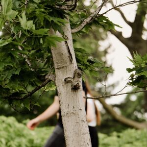 Gallery Photo 29