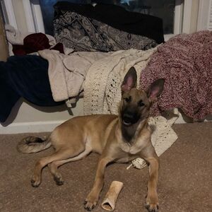 Gallery Photo 68