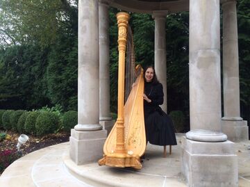 Karen Stern, Harpist - Harpist - Mount Laurel, NJ - Hero Main